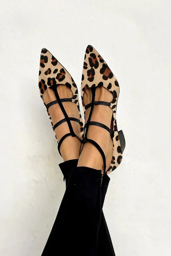 Leopard / 43