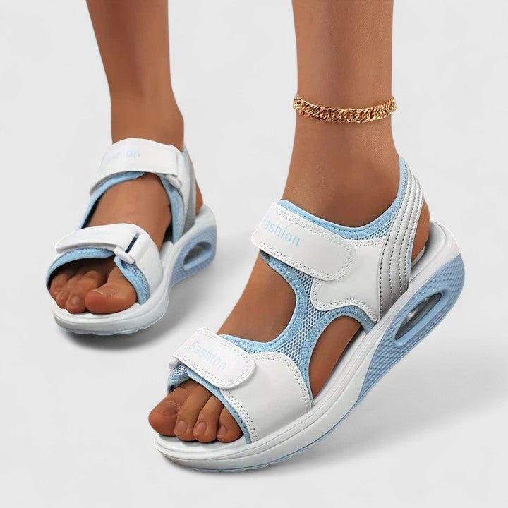 Wit/Blauw / 41