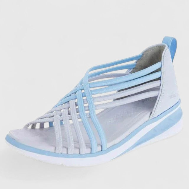Blauw / 43