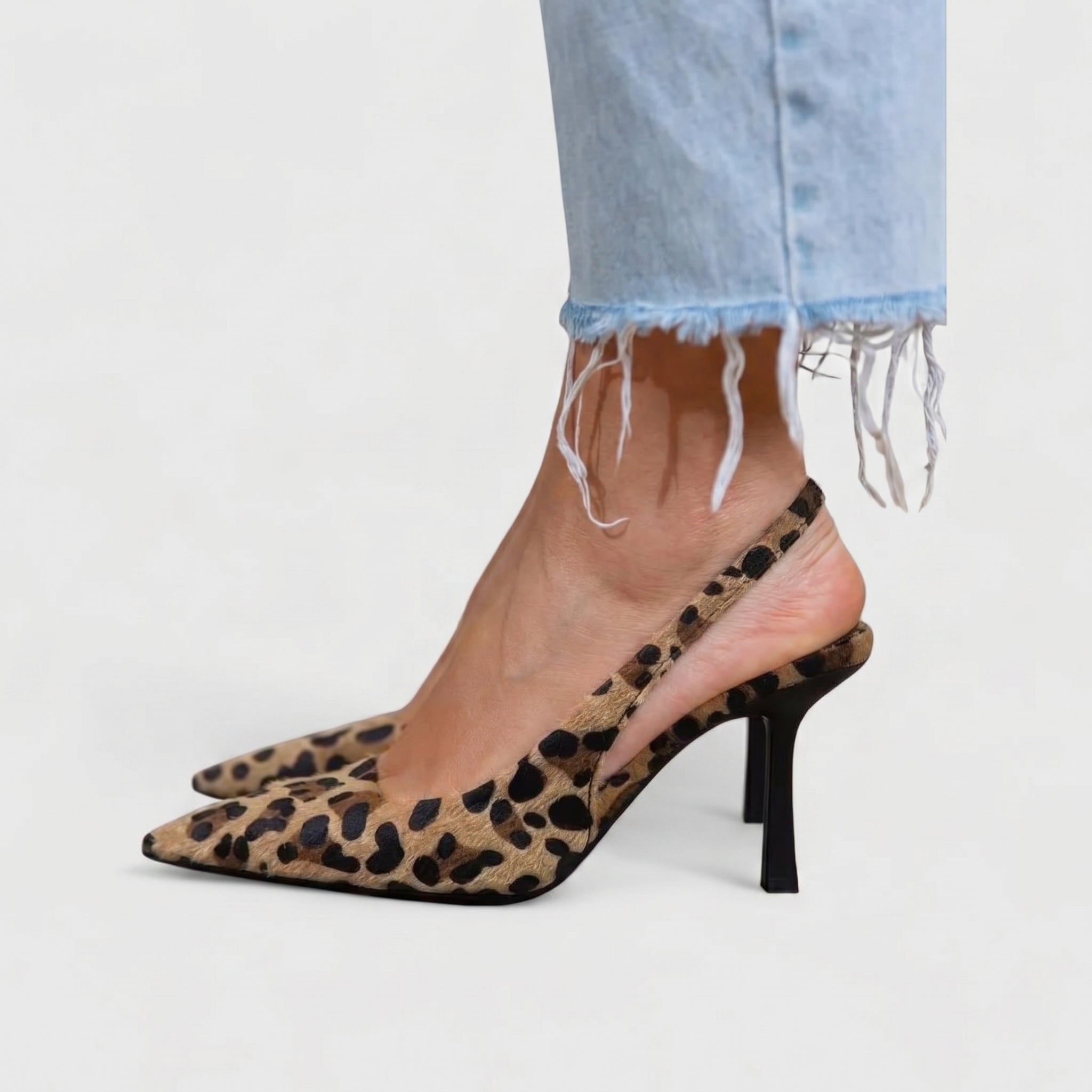 Leopard / 43