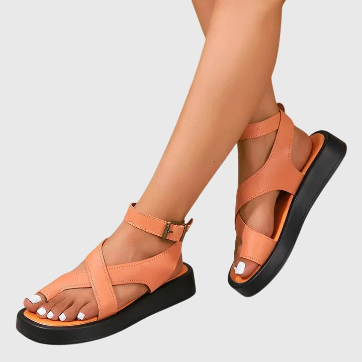 Oranje / 43