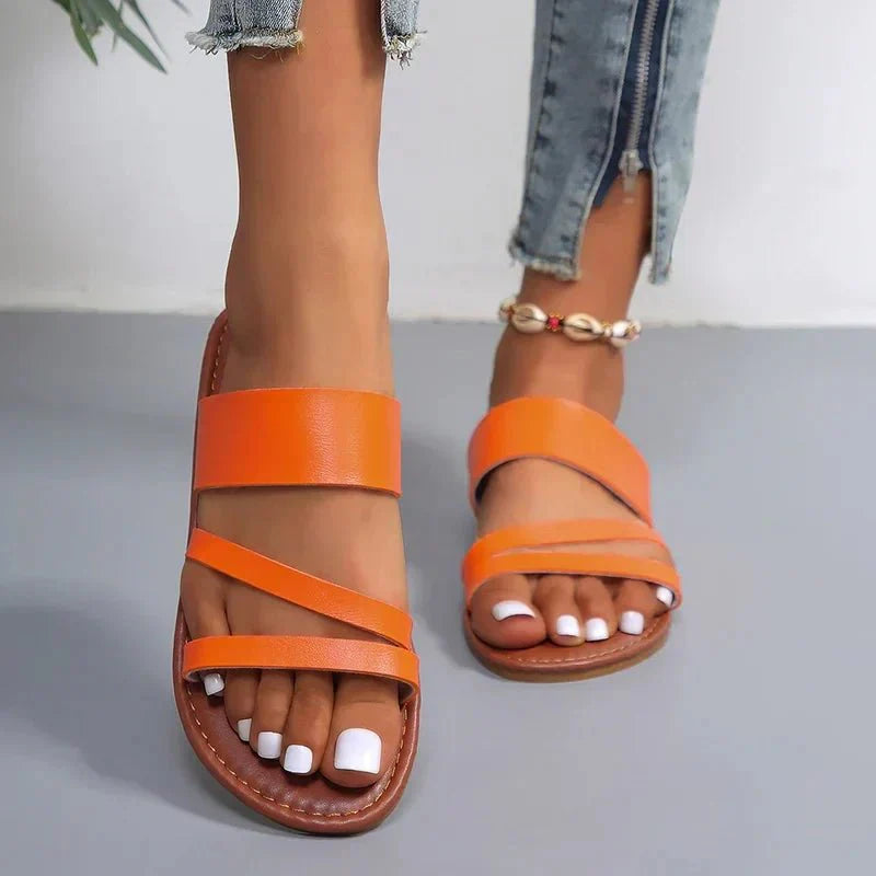 Orange / 43